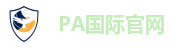 PA国际